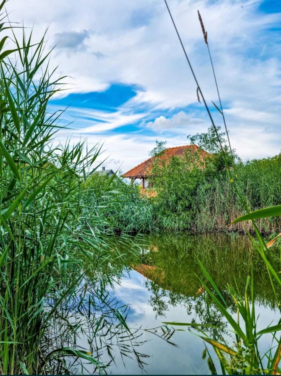 Agroturystyka Pod Podkowa Villa Mrągowo Exterior foto