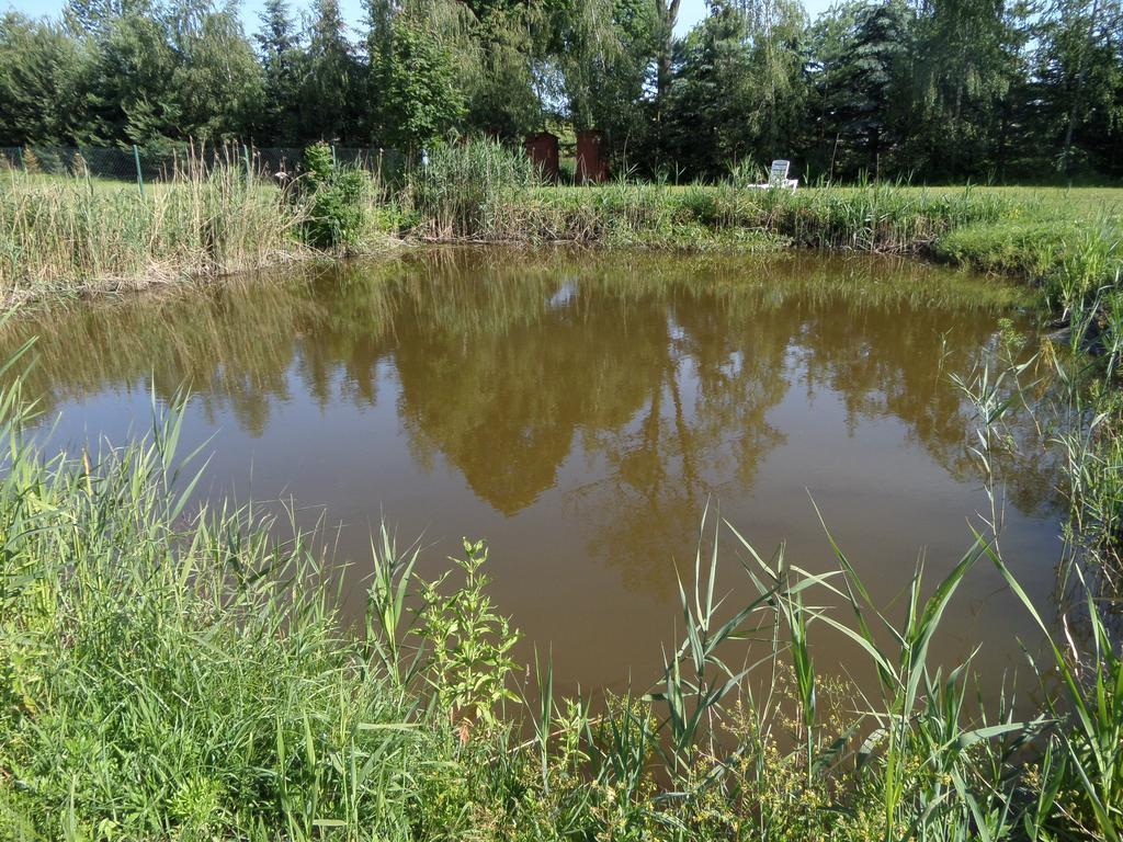 Agroturystyka Pod Podkowa Villa Mrągowo Exterior foto